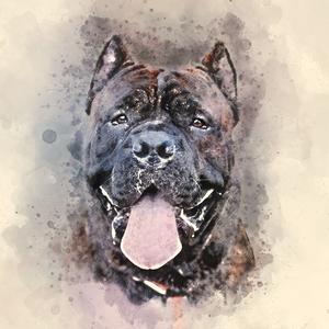 _leothecanecorso_