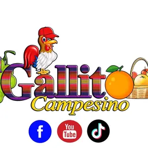 gallitocampesino