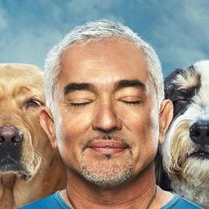 imcesarmillan