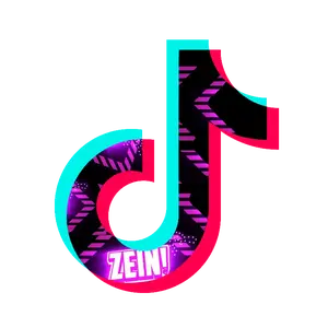 zeineldin.official